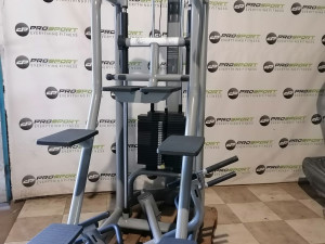 Technogym selection assist chin dip