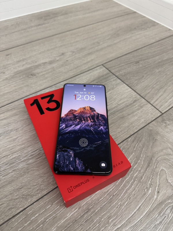 OnePlus 13 12/256GB Global