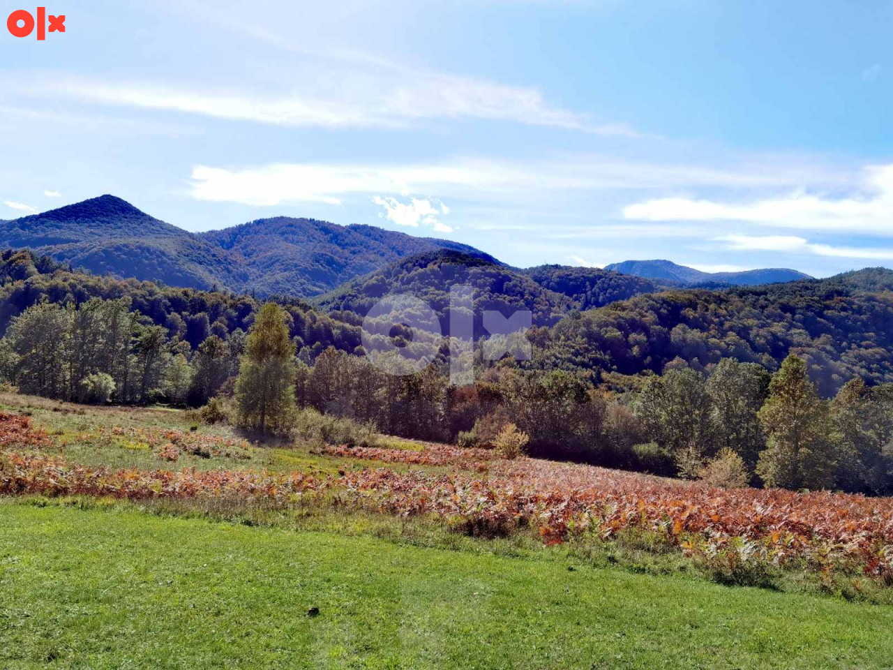 Zemljište Grabovica, Vlasenica 8