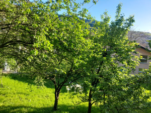 Apartment for rent Alifakovac