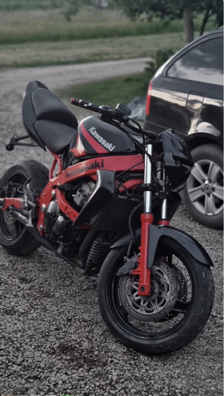 Kawasaki ZZR 500 Streetfighter