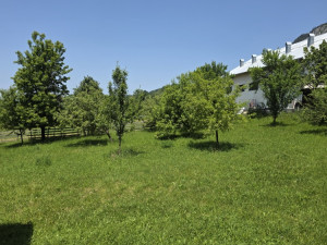 Kuća Mokro-Pale photo 2