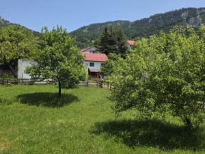 Kuća Mokro-Pale photo 4