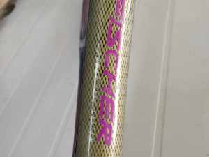 Teniski Reket--Fischer