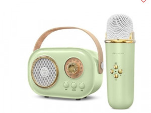 Mini karaoke radio zvučnik sa mikrofonom C20 zeleni 042766