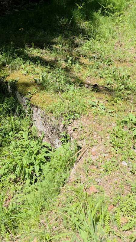Ravna Romanija zemljište 2058m2 vikend naselje sa objektom 5