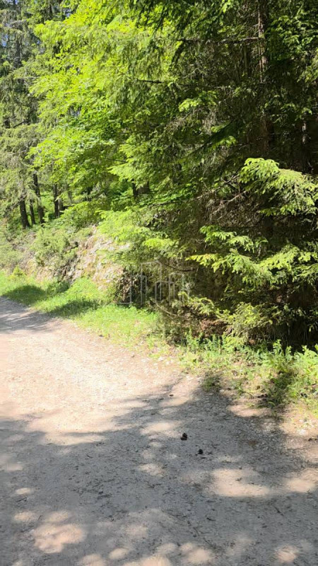 Ravna Romanija zemljište 2058m2 vikend naselje sa objektom 7
