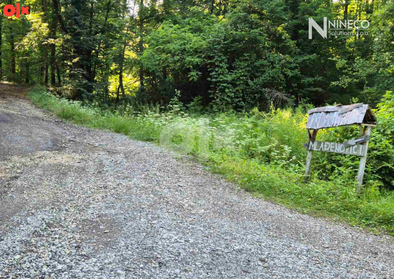 ZEMLJIŠTE I ŠUMA - DOBOJ - RITEŠIĆ - 27.828 m2 2