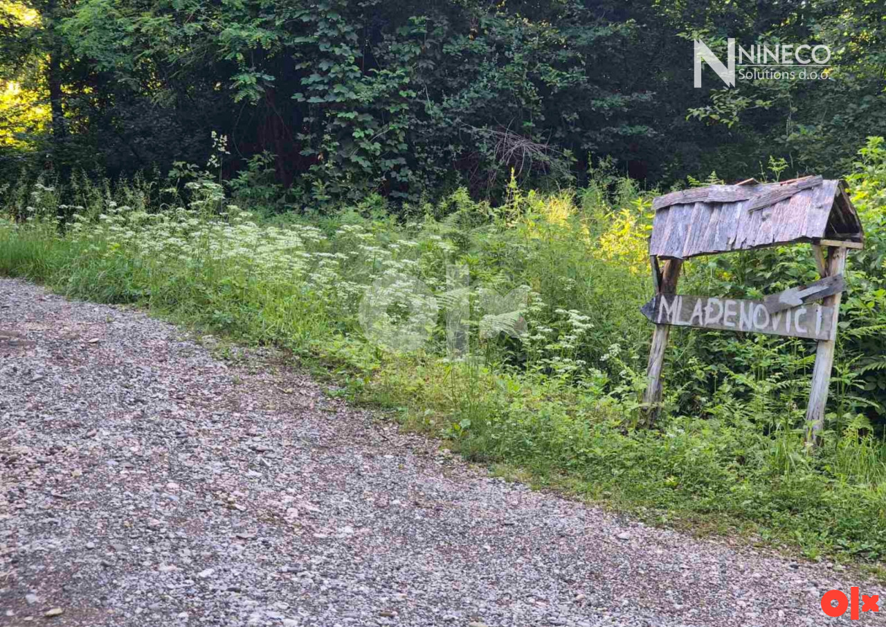 ZEMLJIŠTE I ŠUMA - DOBOJ - RITEŠIĆ - 27.828 m2 3