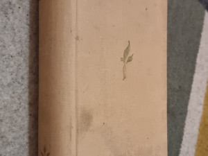 Charles Dickens Čarls Dikens - Dombi i sin