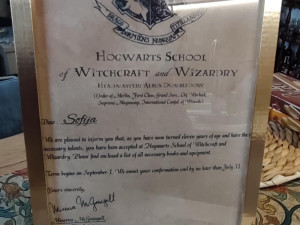 Harry Potter Slika