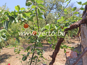 Kuća, Bukinje, Tuzla 120 m2 photo 4
