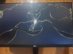 LG Monitor Gaming 24MK600M IPS  (24MK600M)