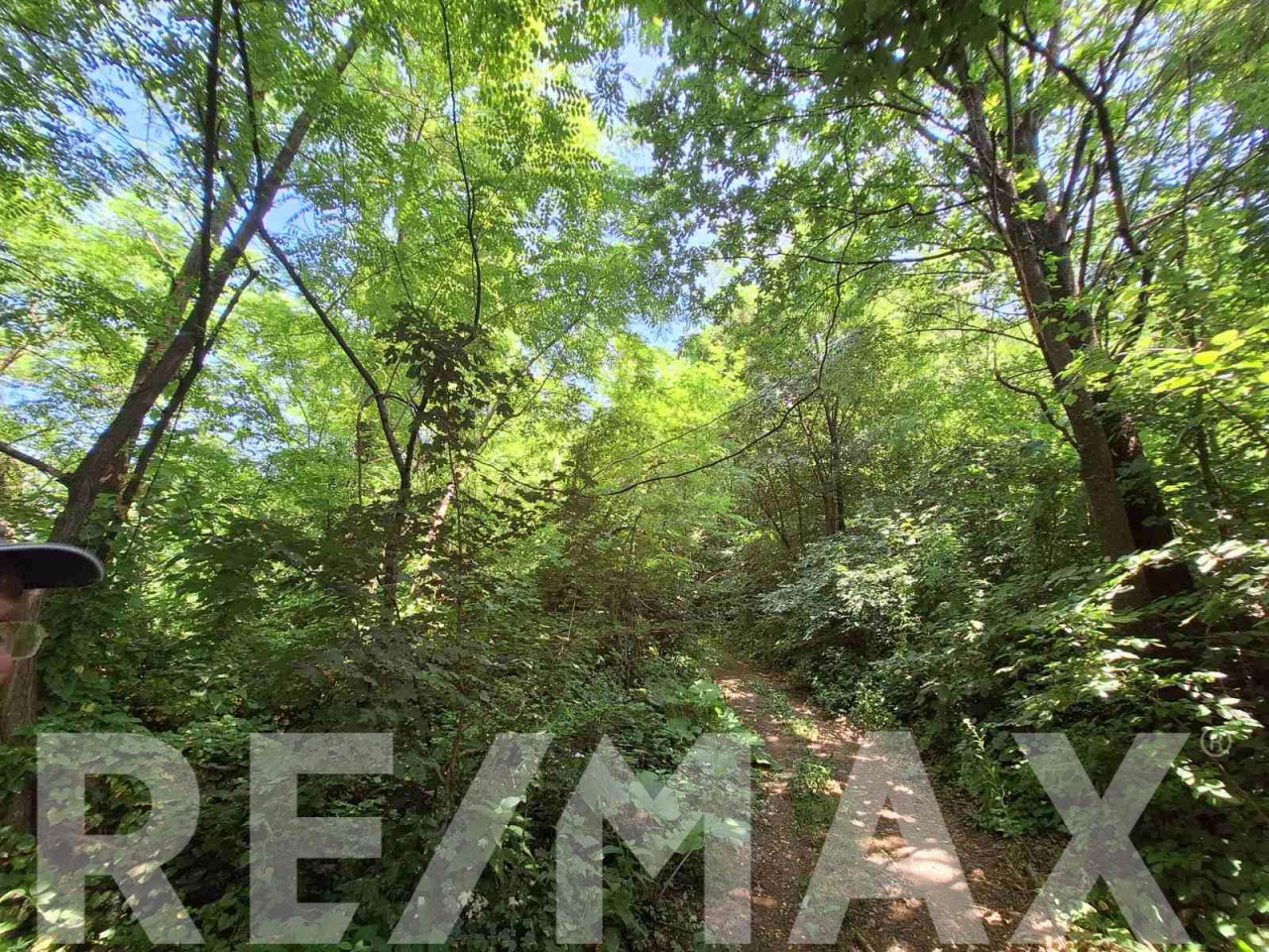 Hrastova šuma sa zemljištem na prodaju- Pavlovac 5942m2 9
