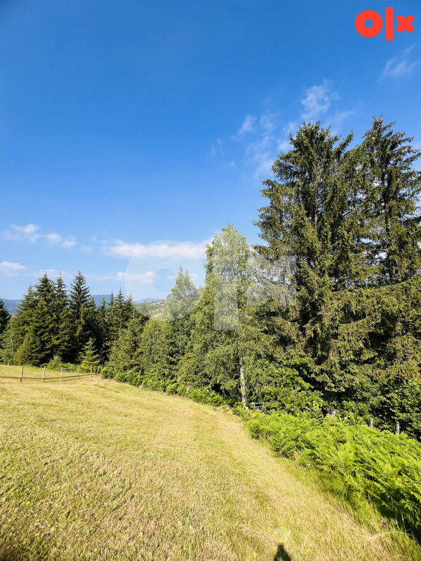 Zemljište Ćemanovići, Pale 12500m2