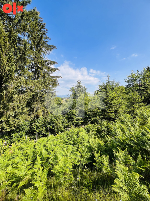 Zemljište Ćemanovići, Pale 12500m2 2