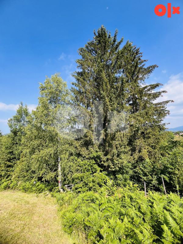 Zemljište Ćemanovići, Pale 12500m2 3