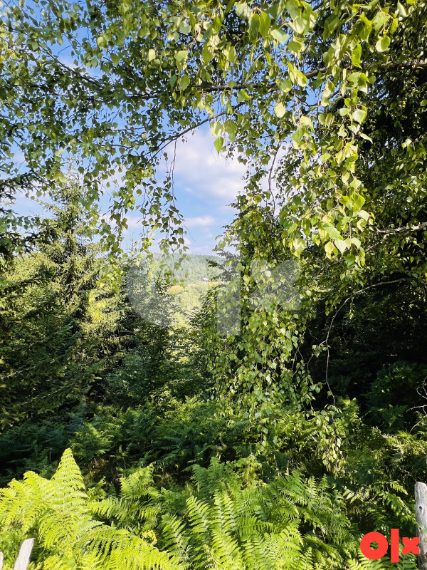 Zemljište Ćemanovići, Pale 12500m2 5