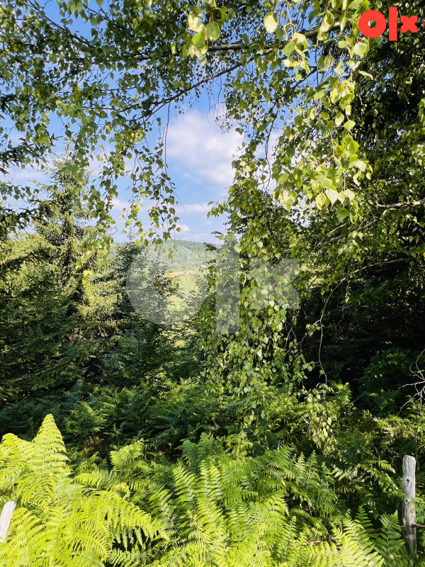 Zemljište Ćemanovići, Pale 12500m2 7