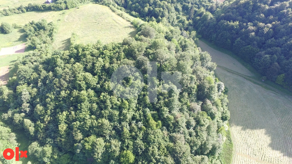 Kuća 260m2 + 73.000 m2 zemljišta, Ilijaš, Malešići 6