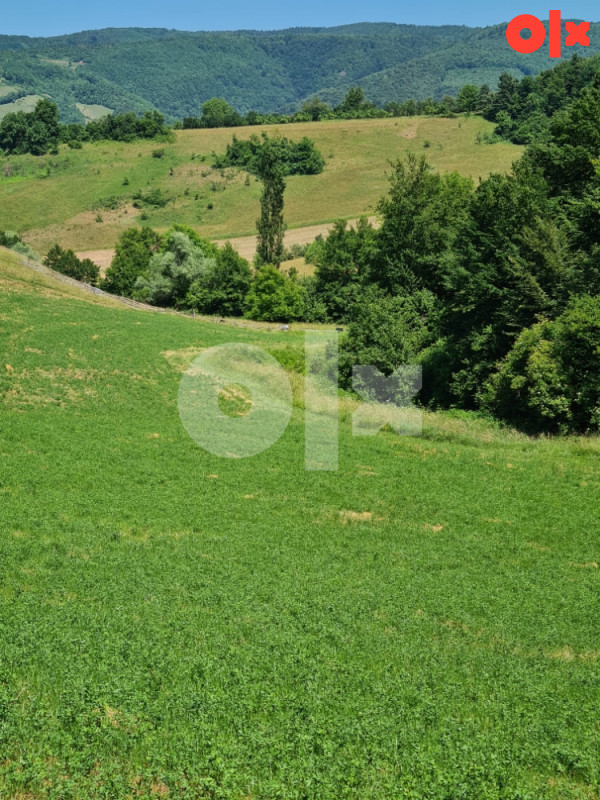 Kuća 260m2 + 73.000 m2 zemljišta, Ilijaš, Malešići 13