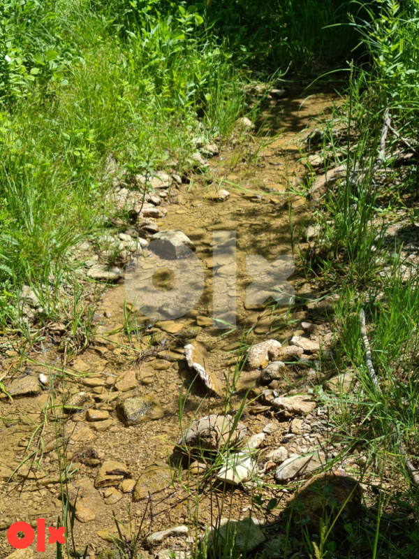 Kuća 260m2 + 73.000 m2 zemljišta, Ilijaš, Malešići 17