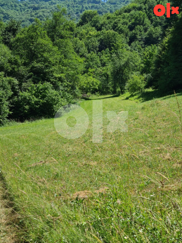 Kuća 260m2 + 73.000 m2 zemljišta, Ilijaš, Malešići 18