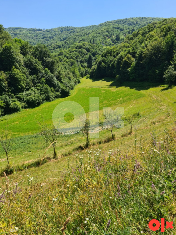 Kuća 260m2 + 73.000 m2 zemljišta, Ilijaš, Malešići 21