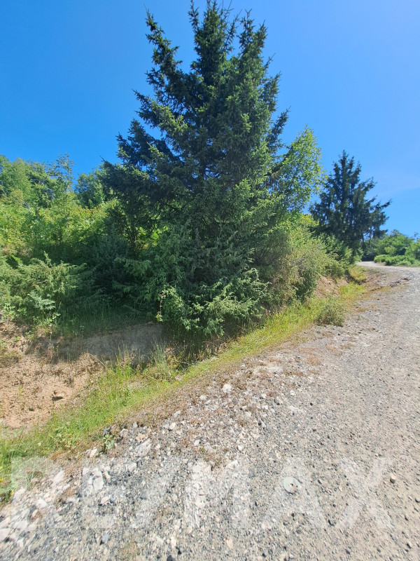 ZEMLJIŠTE U SRCU PRIRODE - Gornja Omarska, PRIJEDOR 6