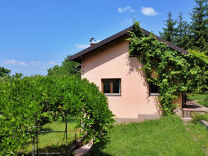 Kuća, vikendica na lijepoj lokaciji, Podgora, Breza