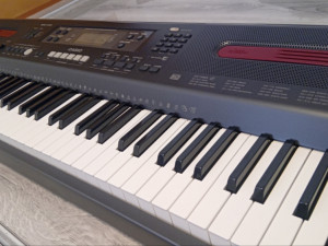 Klavir casio wk-110 klavijatura sintisajzer