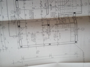 House Pale photo 5