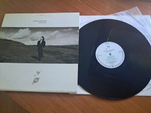 Tanita Tikaram Ancient Heart lp