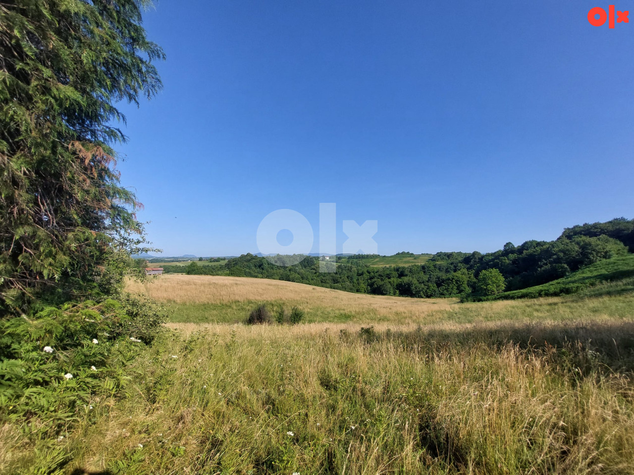 Zemljište Cazin/Rujnica sa okućnicom