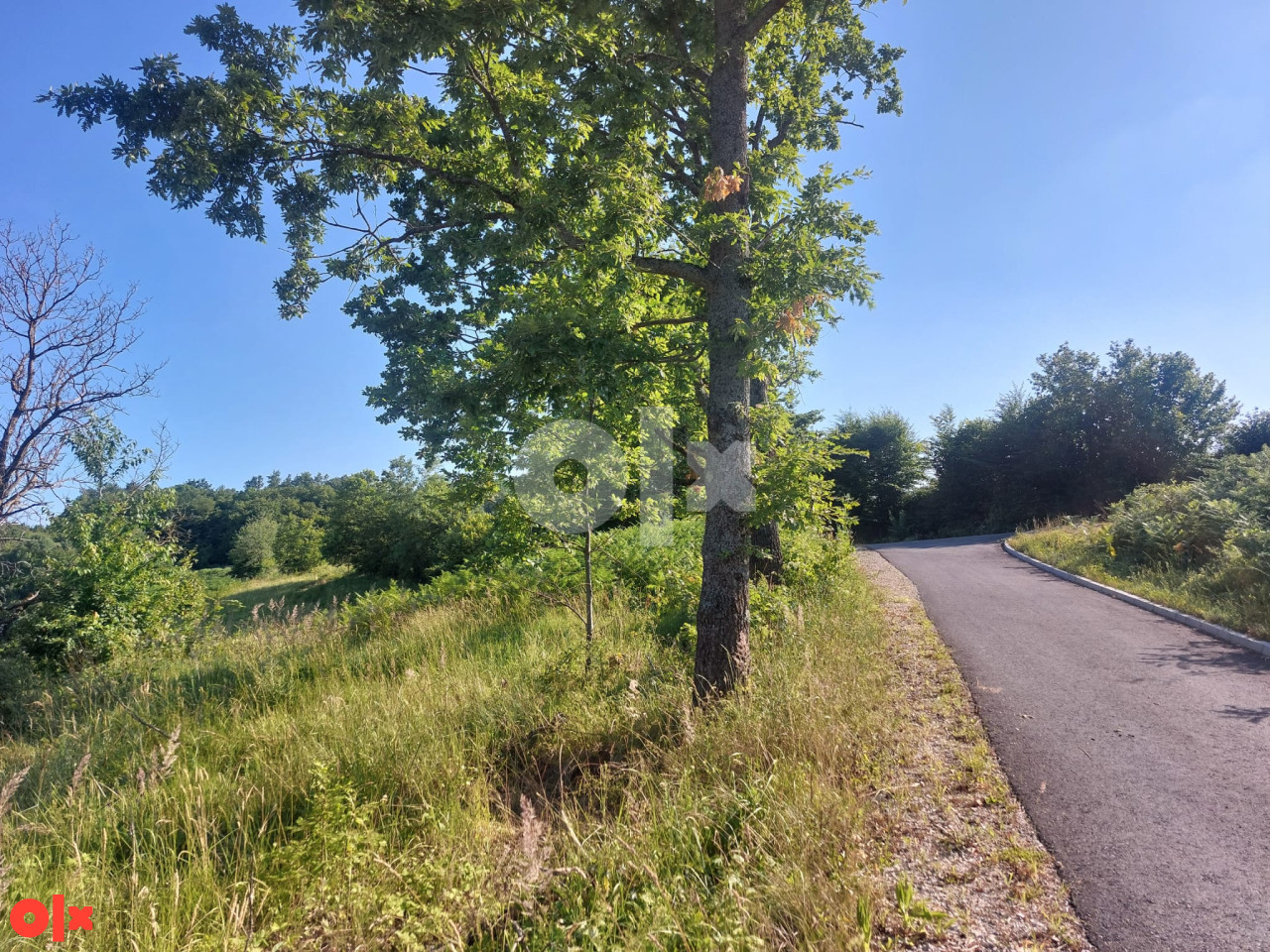 Zemljište Cazin/Rujnica sa okućnicom 2