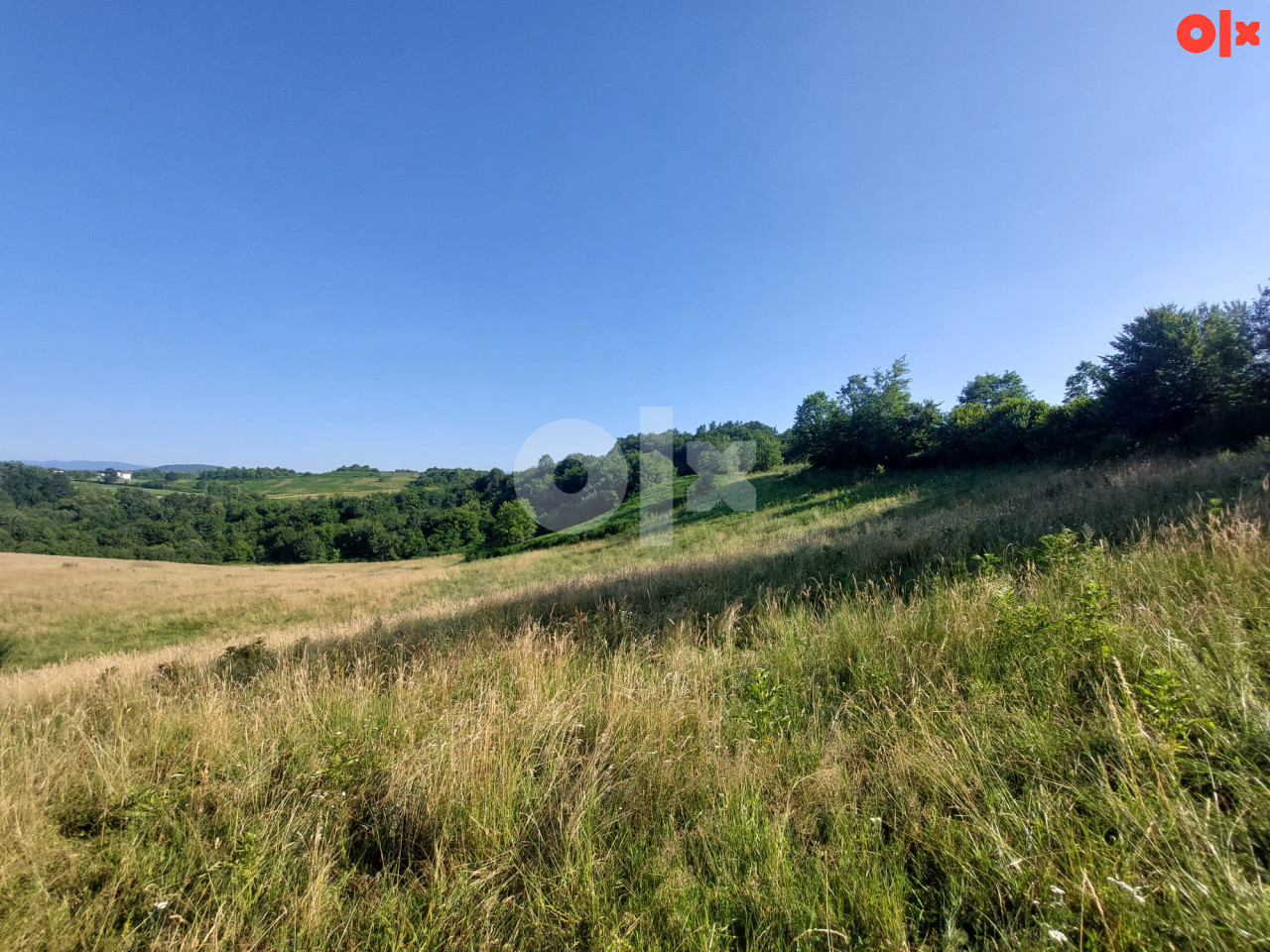 Zemljište Cazin/Rujnica sa okućnicom 3