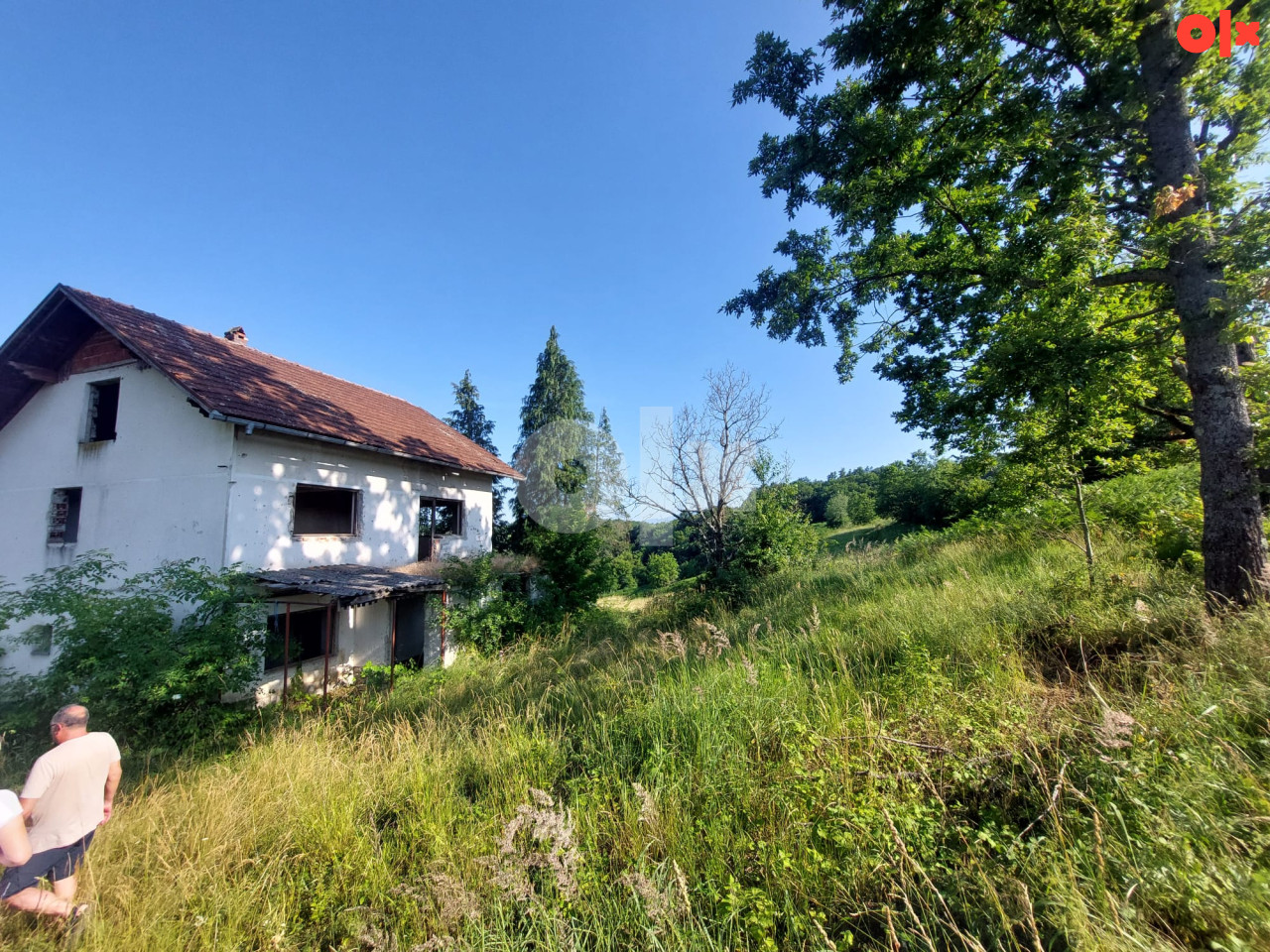 Zemljište Cazin/Rujnica sa okućnicom 6