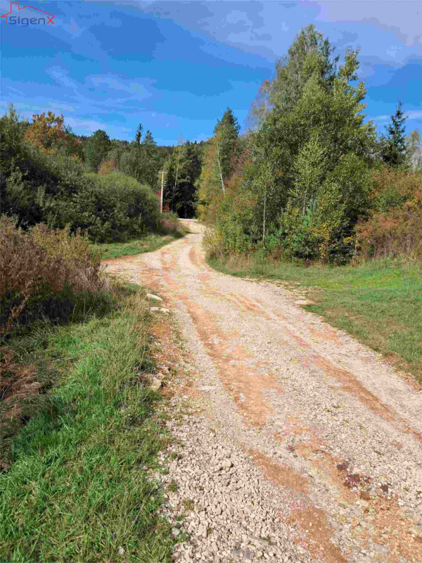 Sigenx prodaje vikendicu/Kadino Selo/Pale/860 m2 18