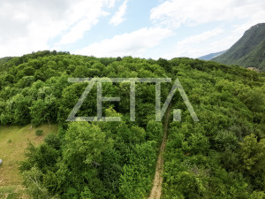 Zemljište - šuma, Visoko