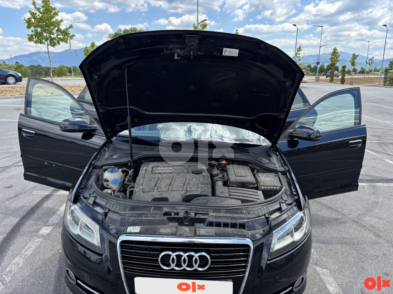 Audi A3 8P 1.6 TDI (77kW) Facelift Sportback