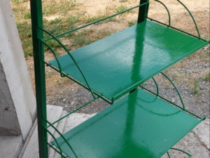 Stalaza zeljezna