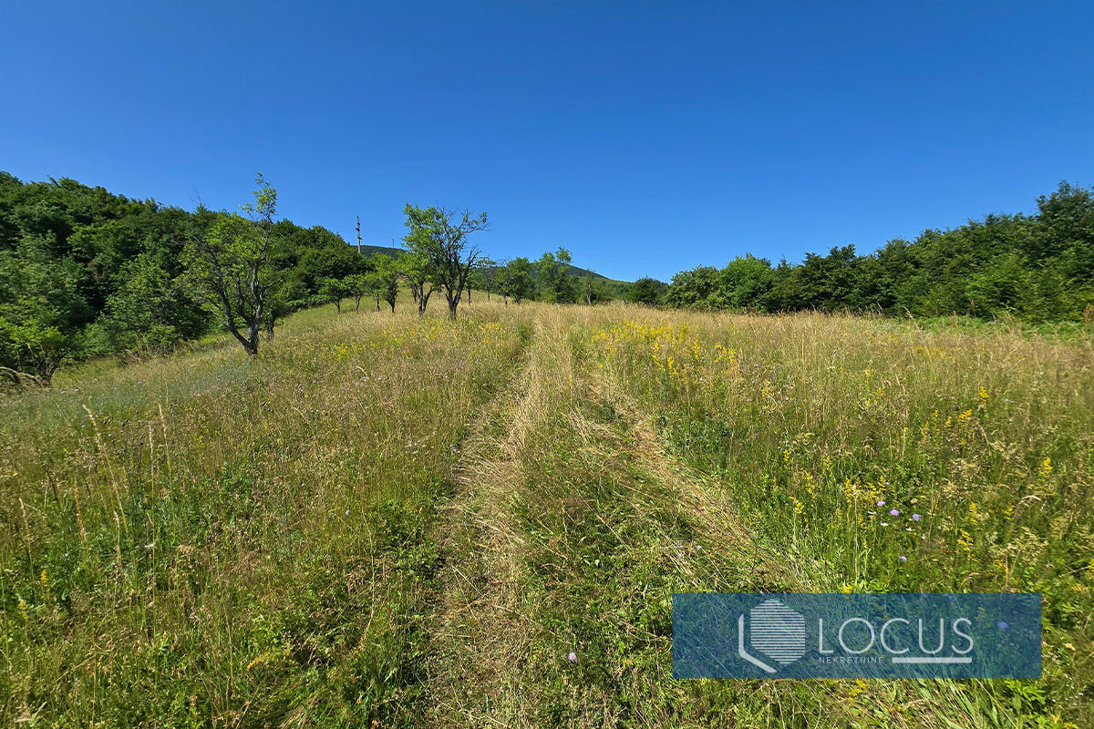 LOCUS: Zemljište 17.880m2 u naselju Rakovica, Ilidža 7