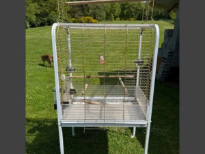 VOLIJERA 85x55x150 veliki kavez za ptice/papagaje