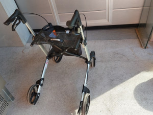 Kolica pomocna  za starije osobe KARBON konstrucija Made germany