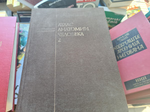 Sineljnikov: ATLAS ANATOMII ČELOVEKA 2