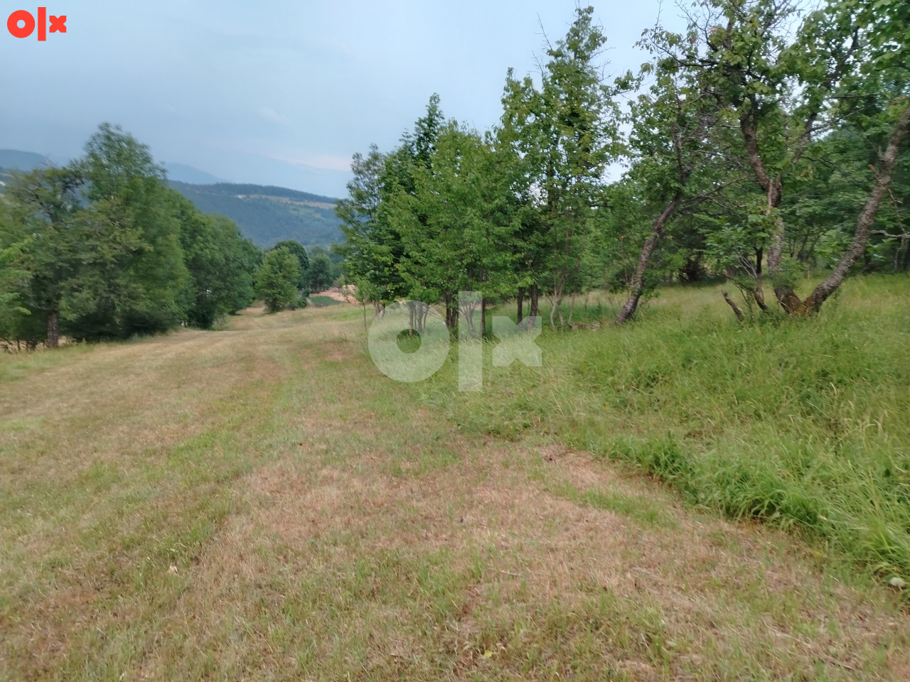 Prodajem zemljište u Dujmovicima   062 905 118   062 609 774 2
