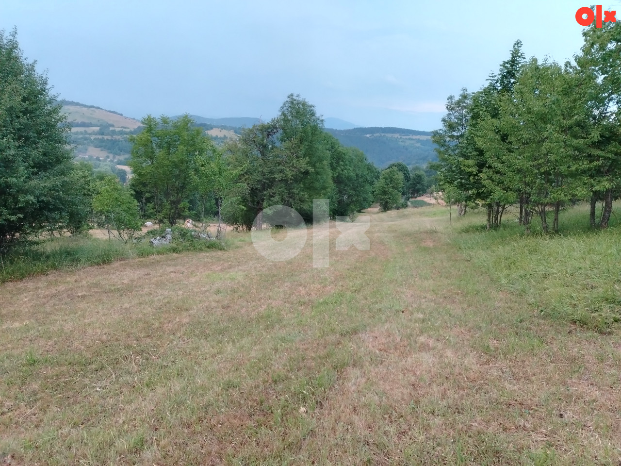 Prodajem zemljište u Dujmovicima   062 905 118   062 609 774 3