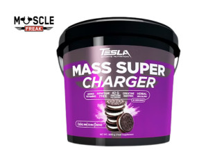 Tesla Mass Super Charger 4.5kg