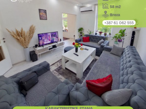 100888 Dvosoban stan 59m2, Breza