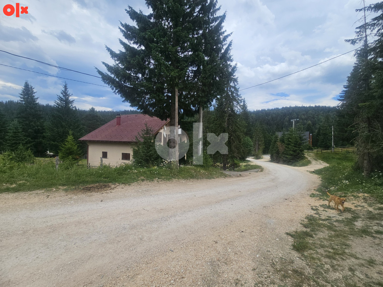 Građevinsko zemljište / Velika Dvorišta / Jahorina 5